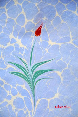 Ebru Sanatının Lale Örnekleri Gaziantepda