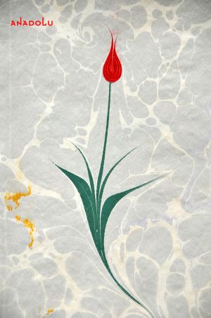 Ebru Örnekleri Gaziantepda