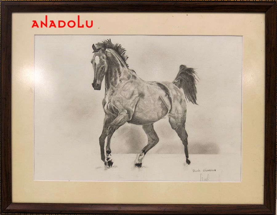 Karakalem At Resmi Çizin Kişiler Gaziantepda