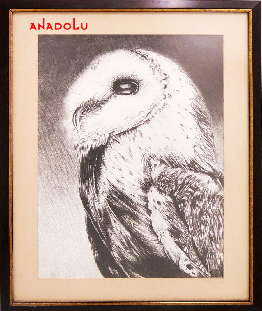 Hobi Resim Çalışmaları Gaziantepda