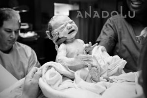 Gaziantepte Doğa Fotoğrafı Çekimleri