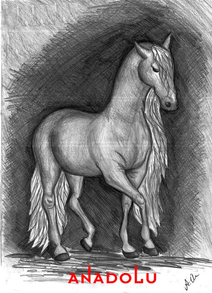 Gaziantepda kara kalem at çalışması